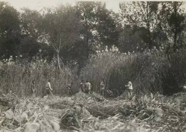 1928年，位于镇江段的江岸，…