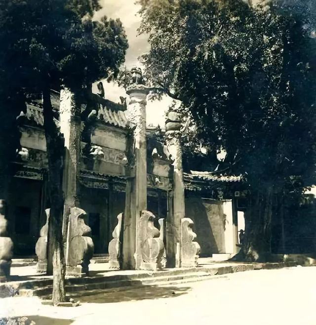 1980年定慧寺古柏与银杏